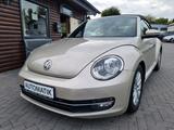 Volkswagen Beetle Cabriolet Design 1.Hand Tempo Klima PDC S - Volkswagen Beetle mit Diesel-Antrieb: Automatik