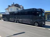 Mercedes-Benz Actros 2551 Pferde LKW + Anka Anhänger - Tier- & Pferdetransport für 2 Pferde