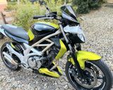 Suzuki SV 650 Gladius - Angebote entsprechen deinen Suchkriterien