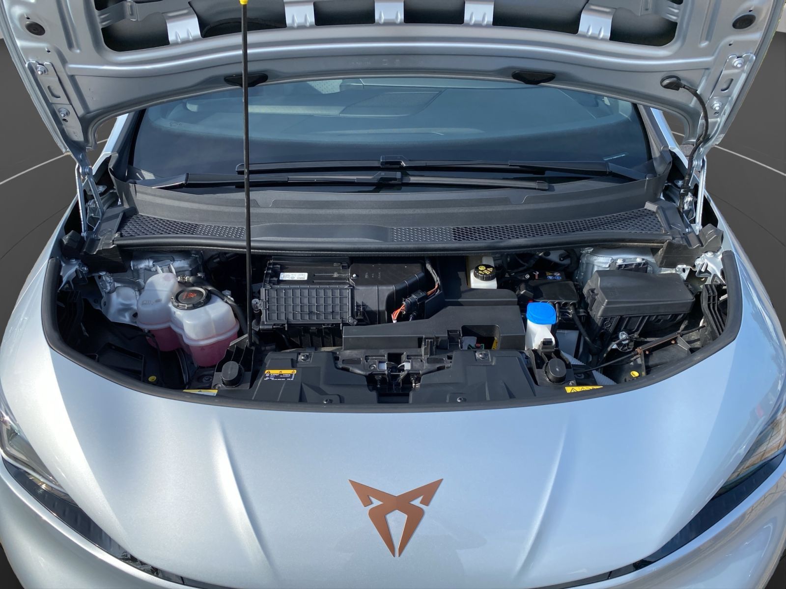 Cupra Born - Bild 22