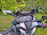 Honda Forza 300 - Honda Motorräder in Köln