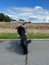 Yamaha  MT 125 - Yamaha Motorräder in Kassel