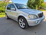 Mercedes-Benz Mercedes ML 55 AMG Bose Leder LPG - Mercedes ML 55 AMG SUV