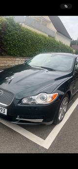 Jaguar XF 2.7 L V6 Diesel Premium Luxury Premium Luxury - Jaguar XF: Premium Luxury