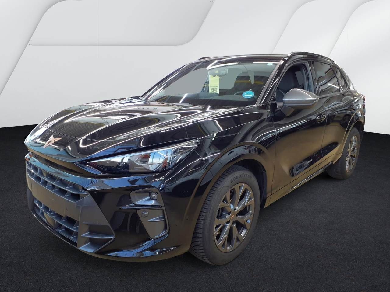 Cupra Terramar - Bild 2