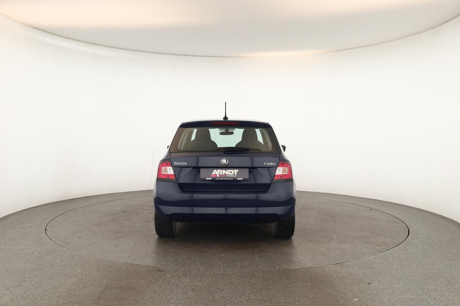 Skoda Fabia 1.0 TSI DSG Style Klima DAB SHZ ACC PDC 17
