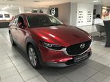Mazda CX-30 Selection 2.0L *BOSE*NAVI*36o°*SHZG*HUD* - Mazda CX-30 in Duisburg