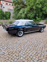 Ford Mustang Cabrio schwarz - Ford Mustang aus 1967 mit Benzin-Antrieb: Cabrio