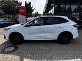 Ford Kuga 2.0 EcoBlue ST-Line X Start/Stopp (EURO 6d) - Ford Kuga aus 2023