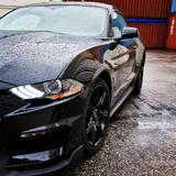 Ford Mustang 5.0 GT Shelby GT350 optik