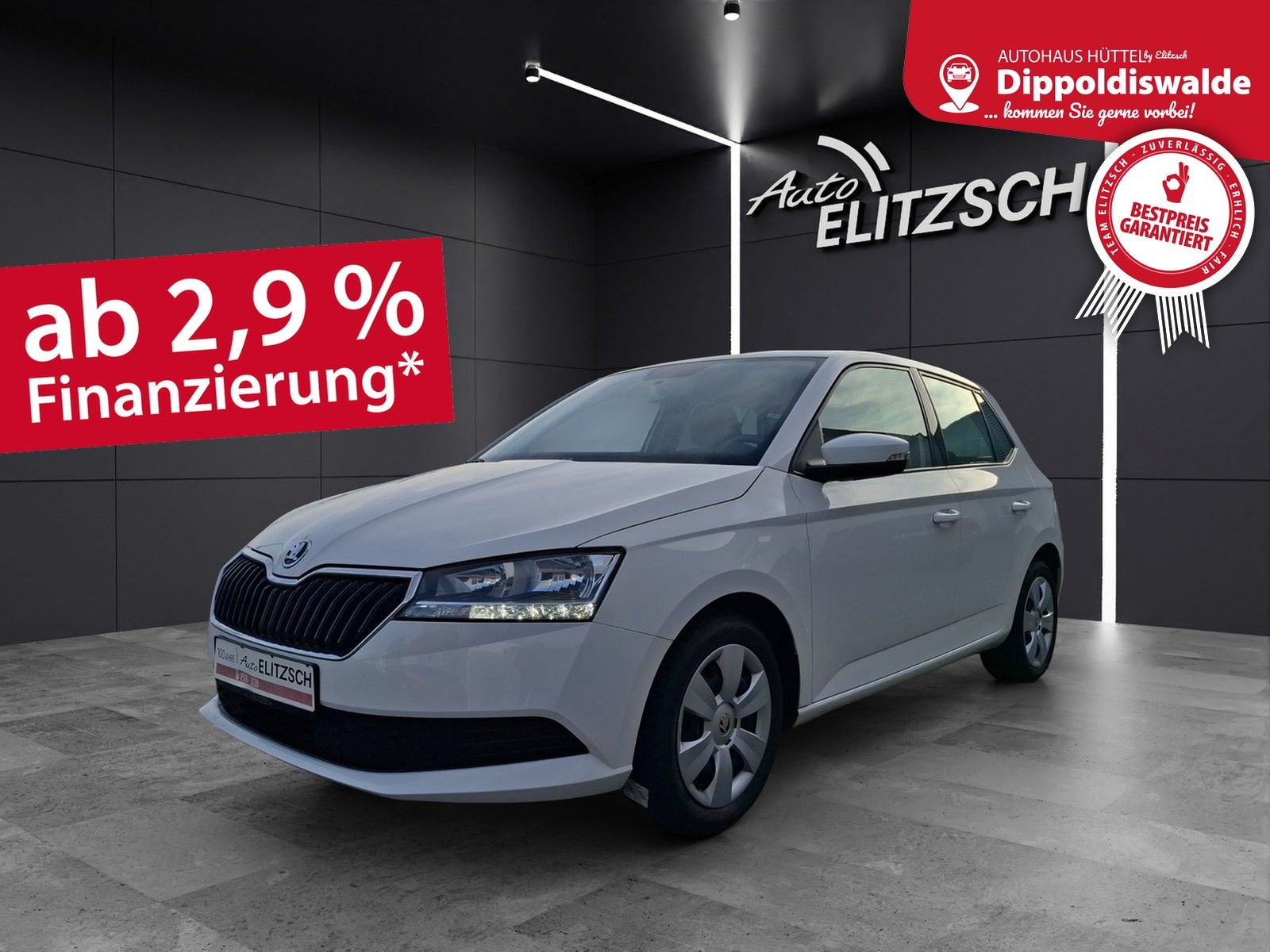 Fahrzeugabbildung SKODA Fabia 1.0  Active Cool-Plus Klima DAB PDC SH