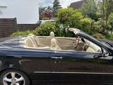 Mercedes-Benz 500 - Mercedes-Benz 500: Cabrio