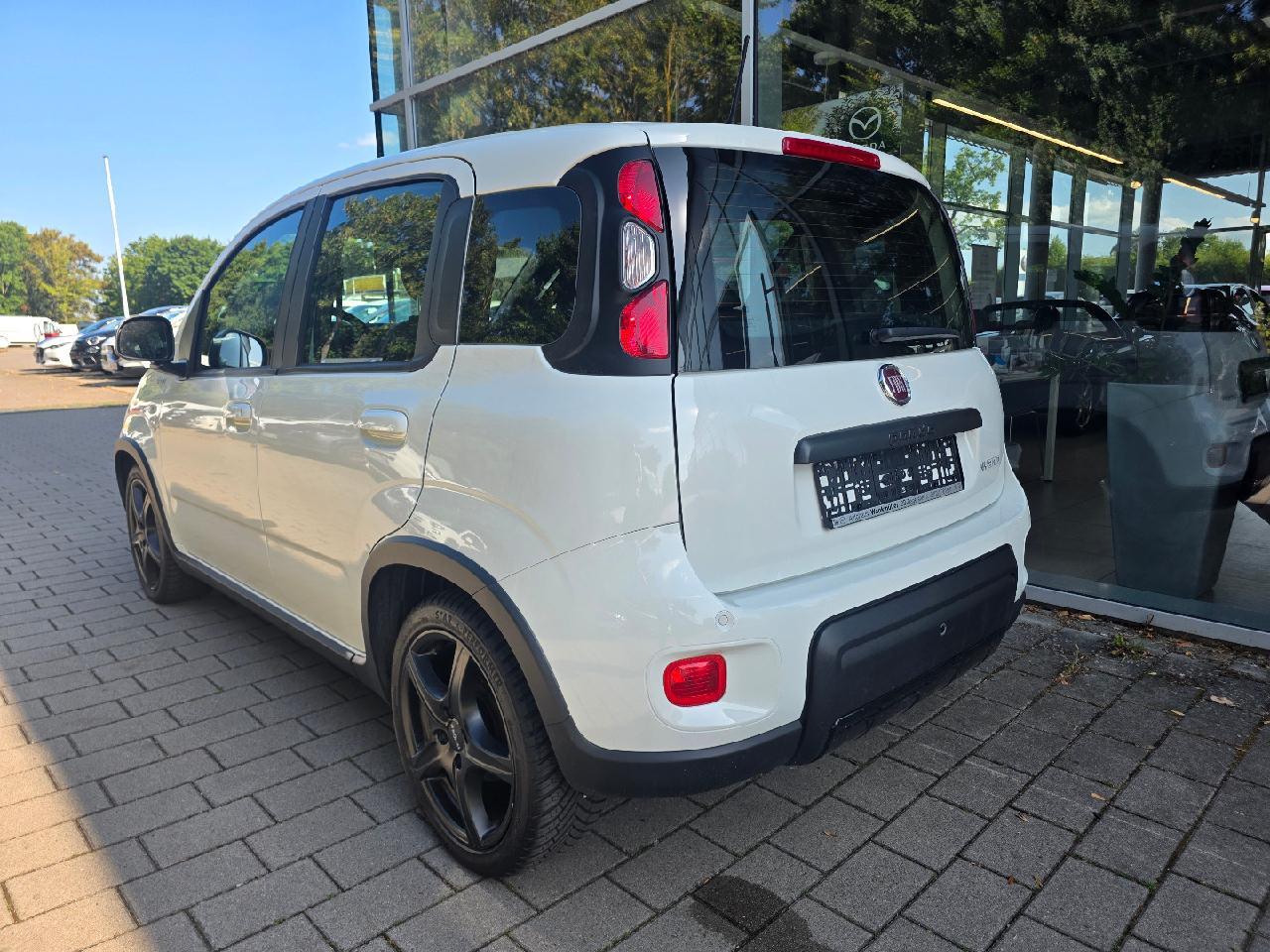 Fiat Panda Sport Carplay Sitzhzg. Parsensoren ZV...