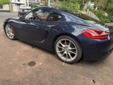 Porsche Cayman S  981 325 PS, Vollleder, Sport Chronopak - Porsche: 981
