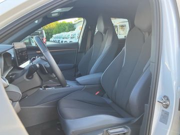 Cupra Terramar - 9