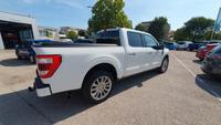 Ford F 150 Limited HYBRID 4x4 321kW NP 105.000,- €