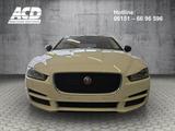 Jaguar JAGUAR XE E-PERFORMANCE*NAV*LEDER*E-SITZ*Bi-XEN - weiße Jaguar XE