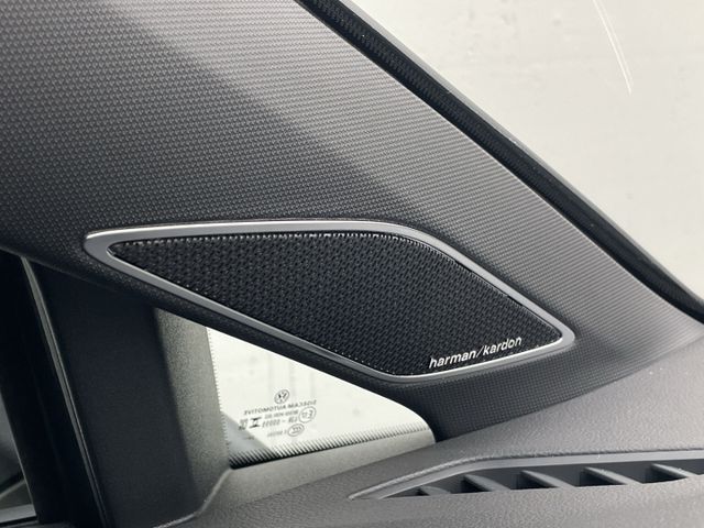 Golf VIII R-Line 2.0 TDI DSG Black Style Kamera 