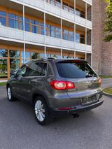 Audi VW Tiguan Comfortline TEAM Edition - Audi 100 Gebrauchtwagen