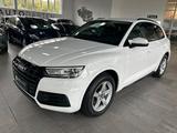 Audi Q5 35 TDI sport*Navi*AHK.*1.Hand - Audi Q5 35 TDi Gebrauchtwagen