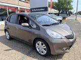 Honda Jazz 1.4 i-VTEC CVT Comfort - Honda Jazz in Krefeld