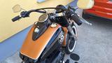 Harley-Davidson Softail Slim FLS 103cui (EU Modell) - Offers matching your search criteria