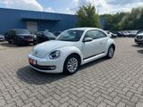 Volkswagen Beetle 1.2 TSI Design NAV Temp SHZ Bluetooth PDC - Volkswagen Beetle aus 2012