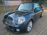 MINI COOPER Mini*Leder*Xenon*Navi*PDC*BT*Chili/Wired - MINI Cooper in Wiesbaden