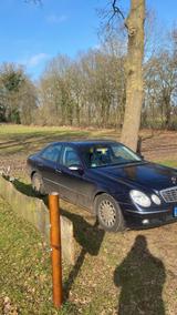 Mercedes-Benz Mercedes E 240 - Mercedes-Benz E 240 mit LPG-Antrieb