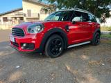 MINI Mini Cooper D Countryman 2.0 D Business BI-COLOR - rote MINI Cooper D Countryman