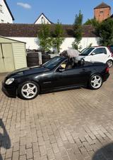 Mercedes-Benz SLK 230 KOMPRESSOR - - gebrauchte Mercedes-Benz SLK 230 aus dem Jahr 2001