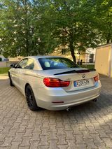 BMW 435i xDrive Cabrio Modern Line Modern Line - BMW: Roadster, Allradantrieb