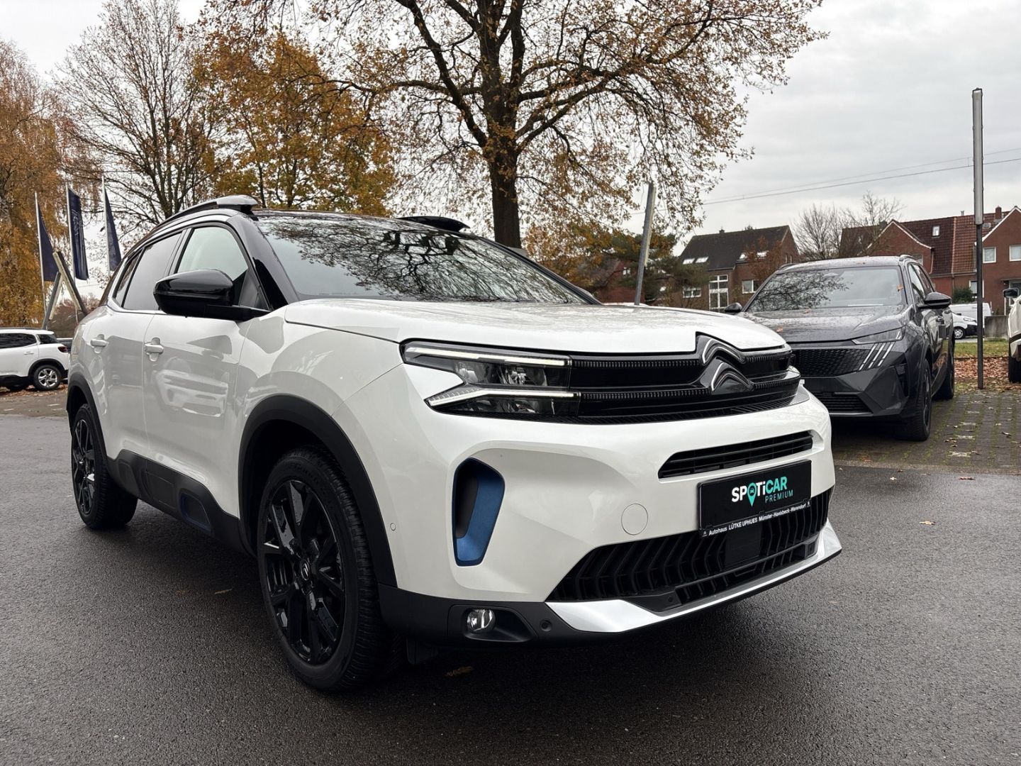 Fahrzeugabbildung Citroën C5 Aircross Shine Pack PT 130 EAT8 El. Pano Navi