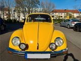 Volkswagen VW Käfer 1200L "Sunny Bug" | H-Kennzeichen  - Volkswagen Käfer: Kleinwagen