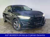 Ford Mustang Mach-E, Pano, B&O Sound, ACC - Ford Mustang Mach-E: Limousine