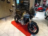 Moto Guzzi Stelvio-MY25-mit SEITENKOFFER- - Angebote entsprechen deinen Suchkriterien