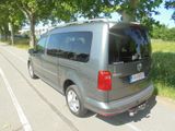 Volkswagen Caddy PKW Maxi Highline BMT 4Motion 1.Hand 65´KM - : Standheizung, Pkw