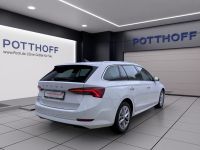 Skoda Octavia - Vorschau Bild 6