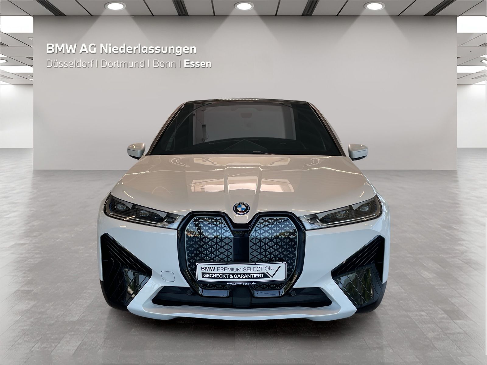 BMW iX xDrive50 Bowers & Wilkins Driv.Assist.Prof foto 6