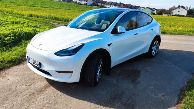 Tesla Model Y Long Range AWD, Matrix LED, ACC, 