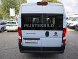 Fiat Ducato Kasten 350 L2H2 für den Umbau zum Camper! - Fiat Ducato 2 3