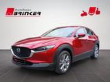 Mazda CX-30 Selection 2WD Rückfahrkamera ACC - Mazda CX-30 in Bielefeld