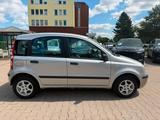 Fiat Panda 1.2 8V Dynamic-Automatik-106000km - Fiat Panda Dynamic mit Benzin-Antrieb