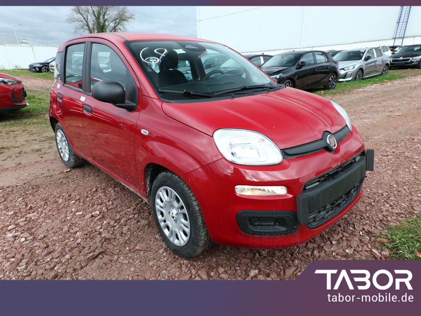 Fiat Panda - Bild 2
