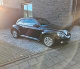 Volkswagen Beetle Design Sitzheizung Klima... - Volkswagen Beetle: Kleinwagen