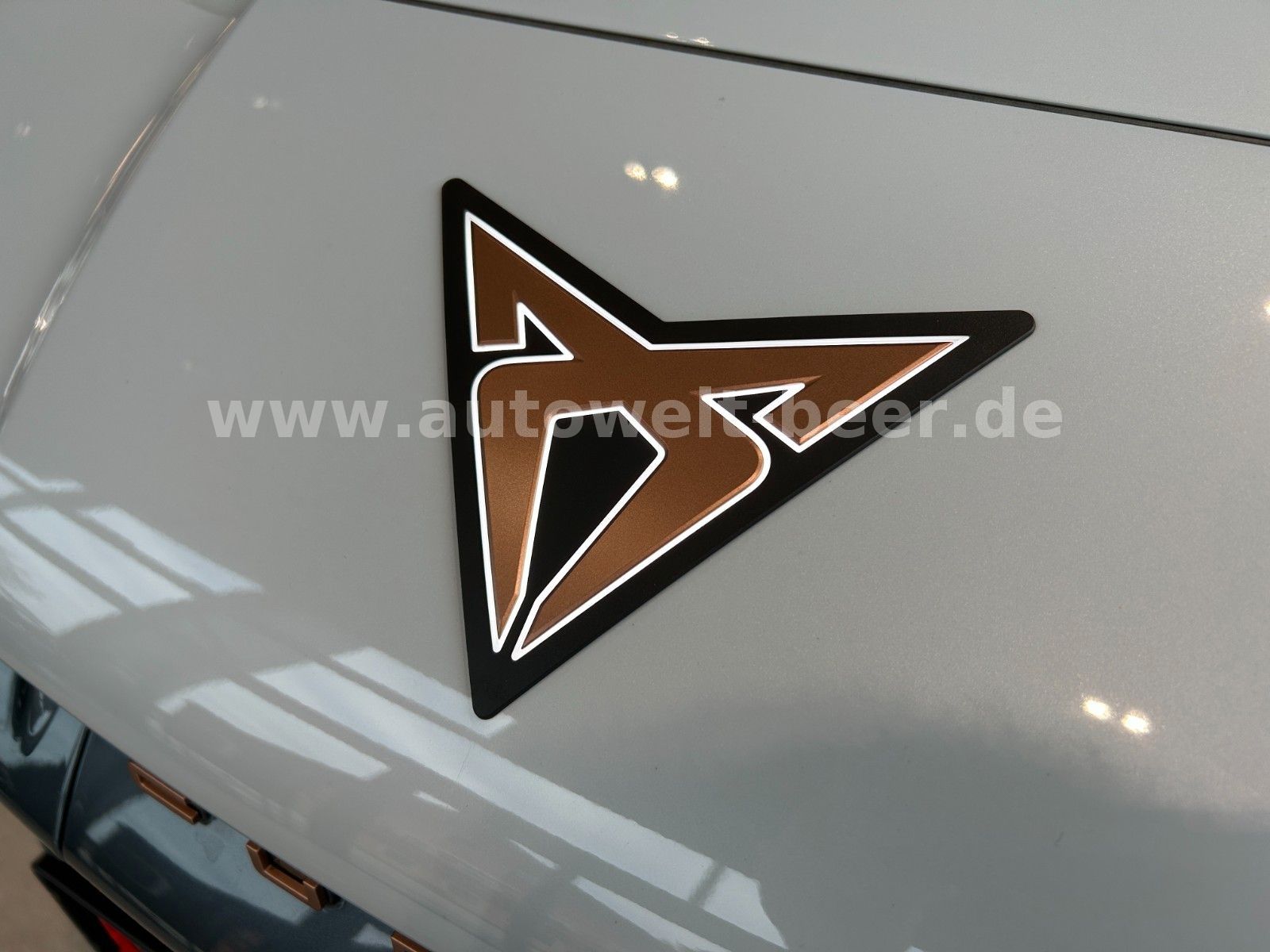 Cupra Tavascan - Bild 30