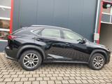 Lexus NX 300h E-FOUR AWD Aut. Leder Navi Kamera - Lexus Gebrauchtwagen in München