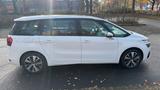 Citroën Grand C4 Picasso/Spacetourer Business Class - Citroën Grand C4 Picasso / SpaceTourer: Business Class