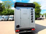 Peugeot Boxer MSG 1-2 Pferdetransporter - Tier- & Pferdetransport für 2 Pferde