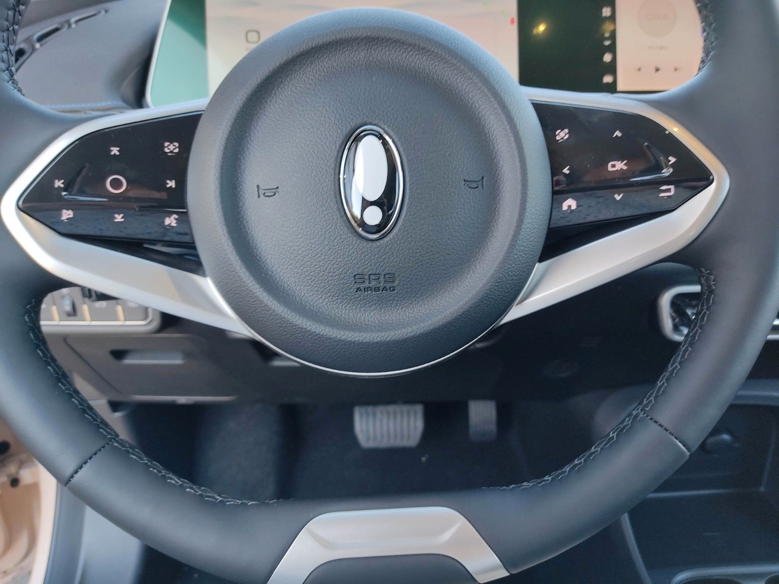 GWM Ora 03 - Bild 21